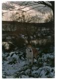 Zindy Winter Dez. 2005